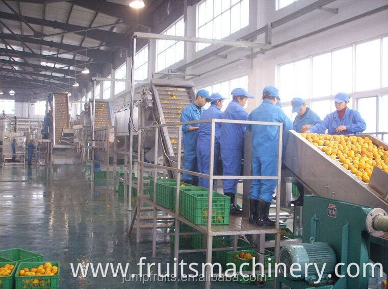 Industrial poly fruit juice extractor
